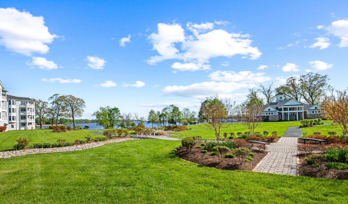 Bright day in a landscaped garden